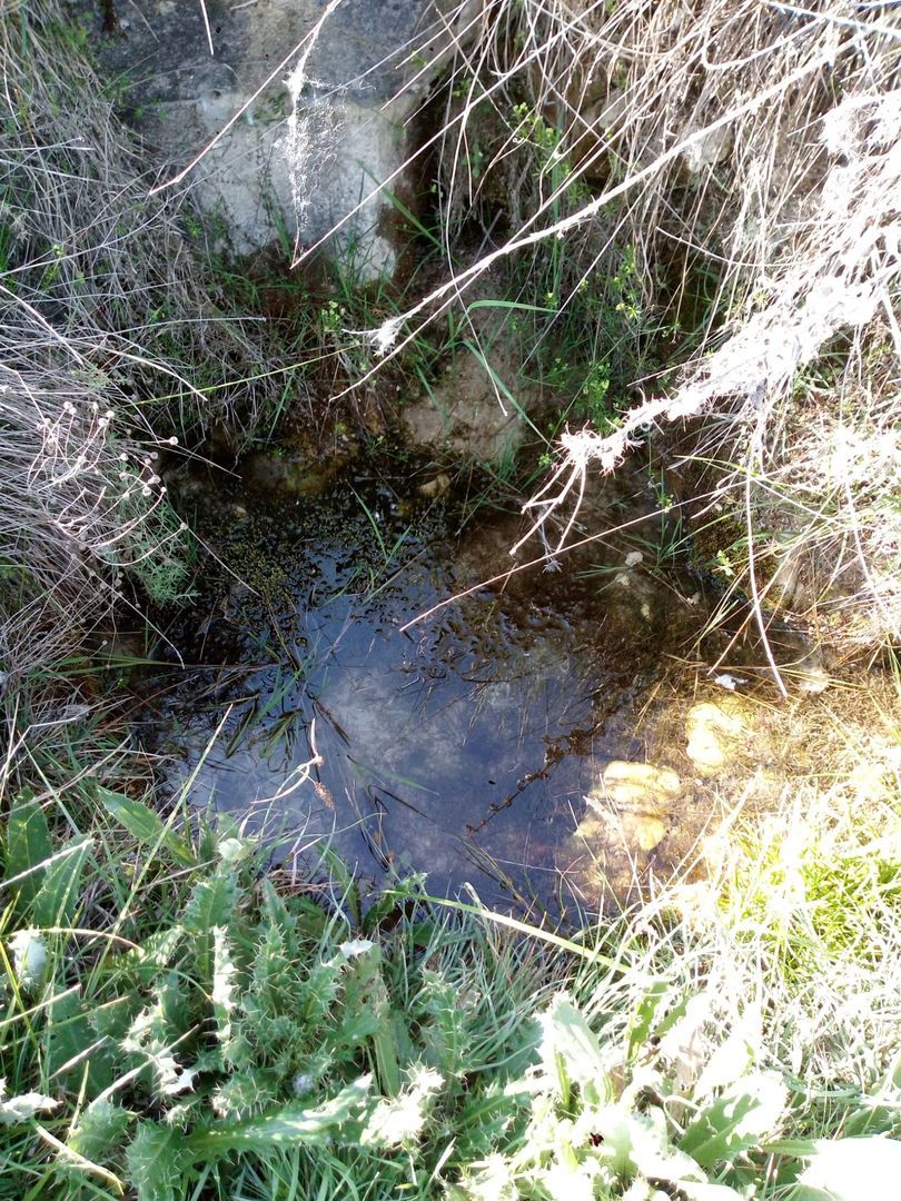 Recuperación de las Fuentes de Hontagas