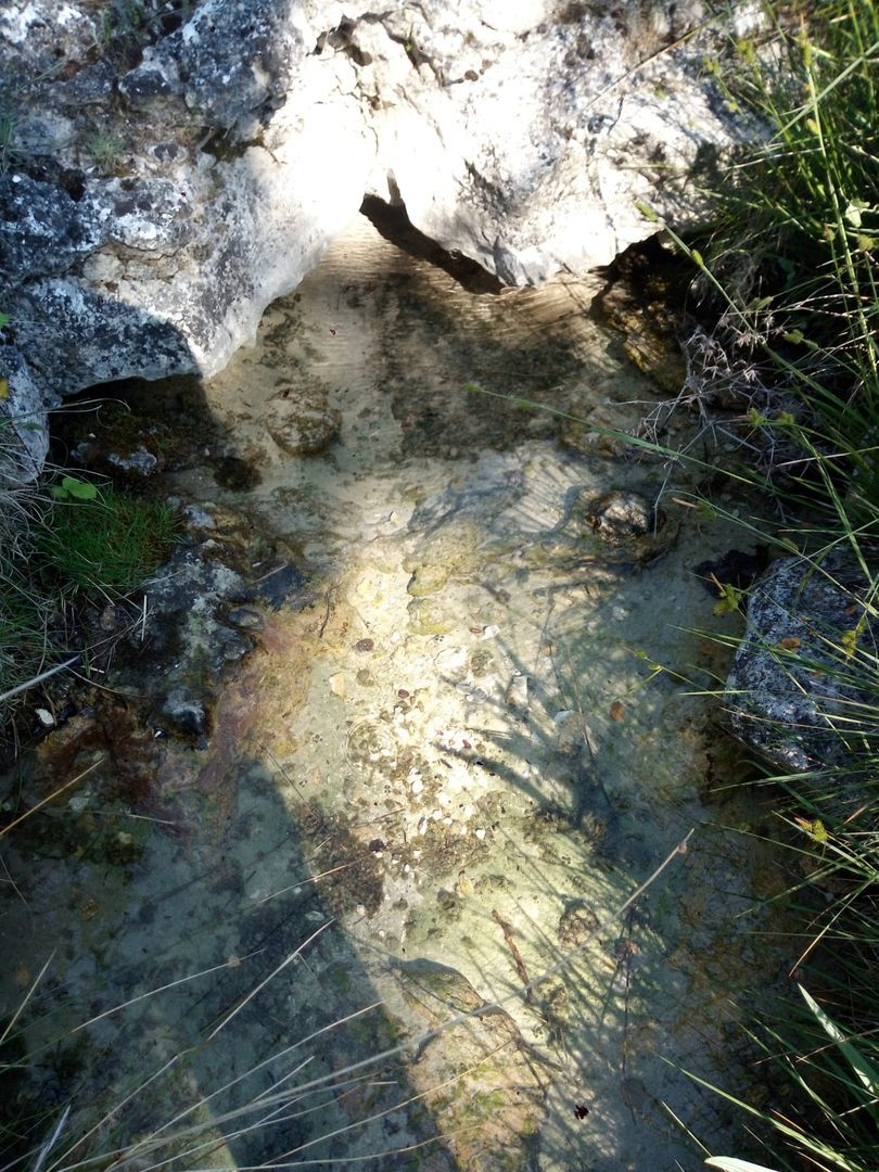 Recuperación de las Fuentes de Hontagas