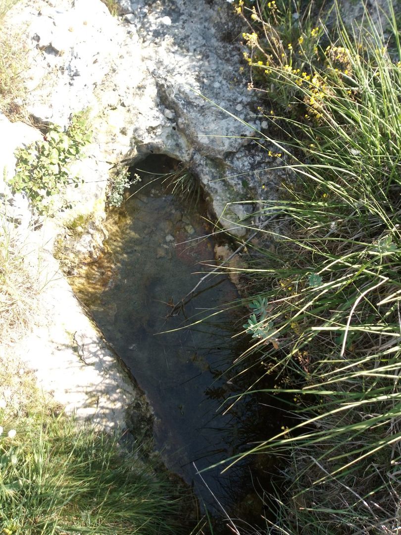 Recuperación de las Fuentes de Hontagas