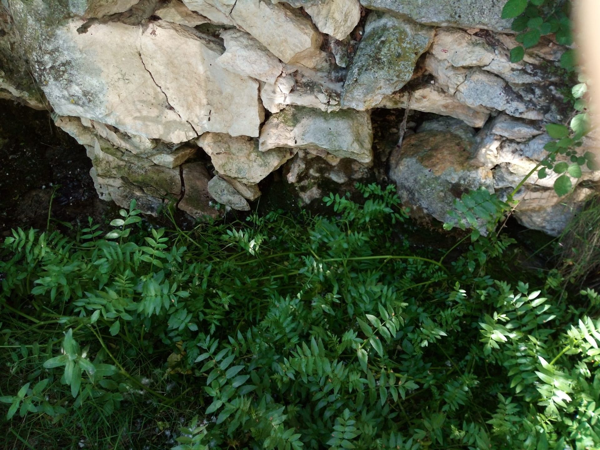 Recuperación de las Fuentes de Hontagas